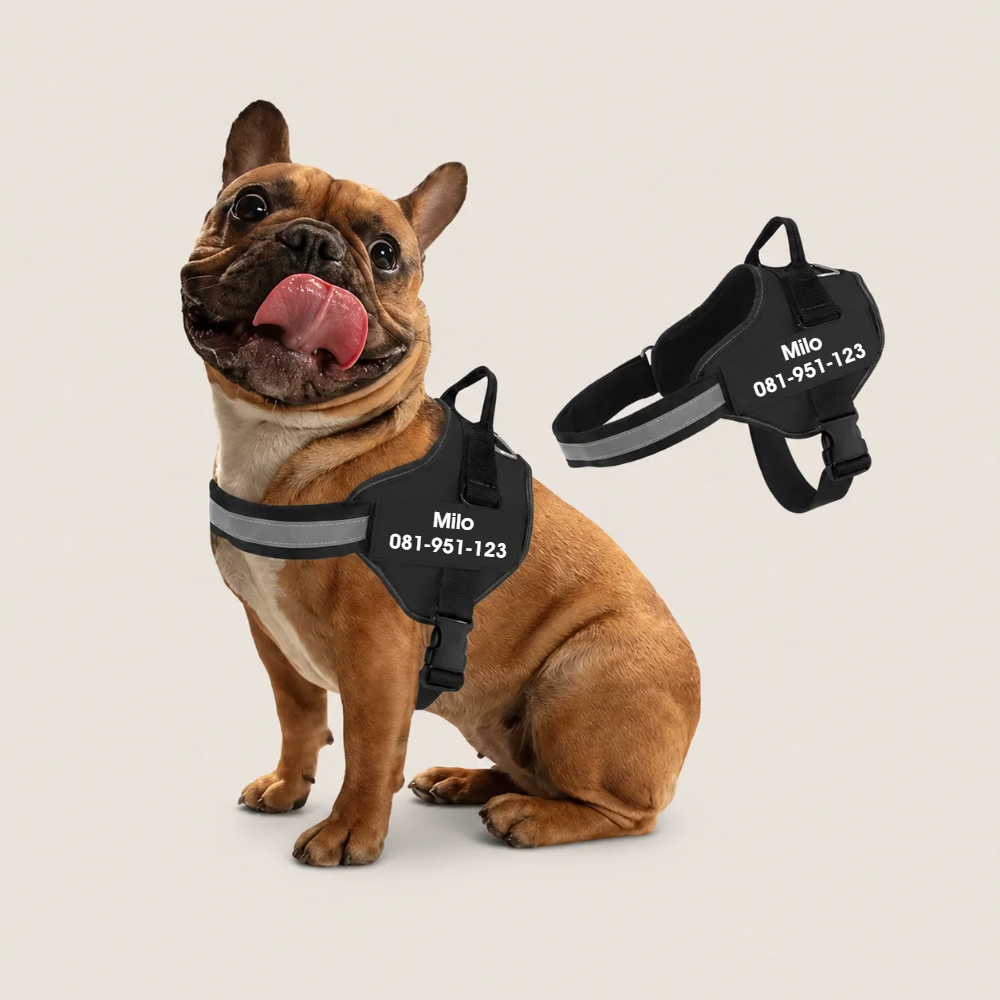 Dog Harness Customization