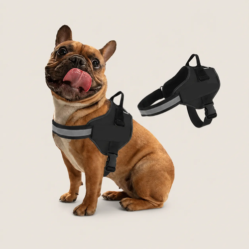 Dog Harness Customization
