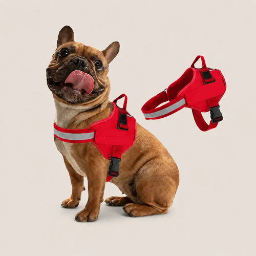 Dog Harness Customization