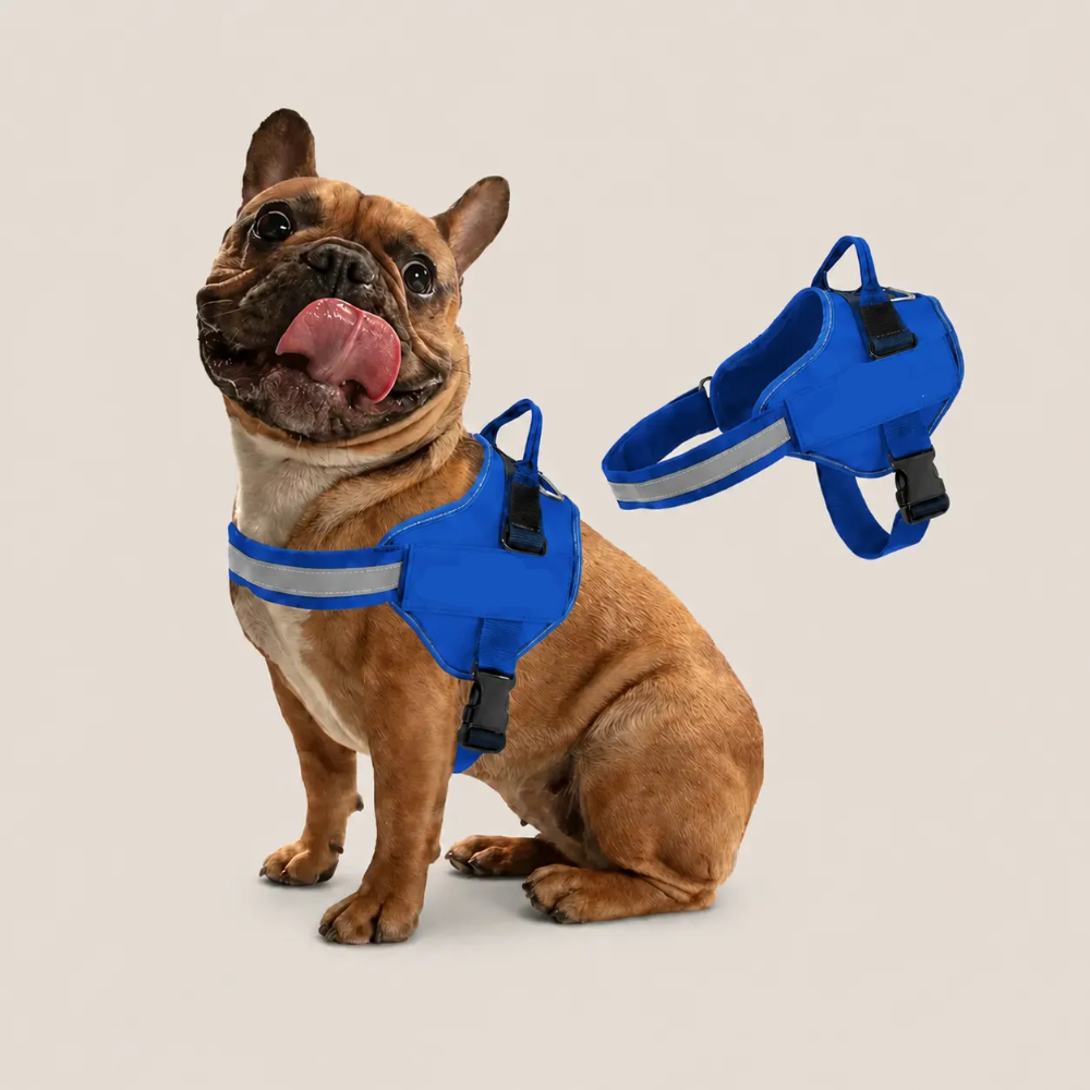 Dog Harness Customization