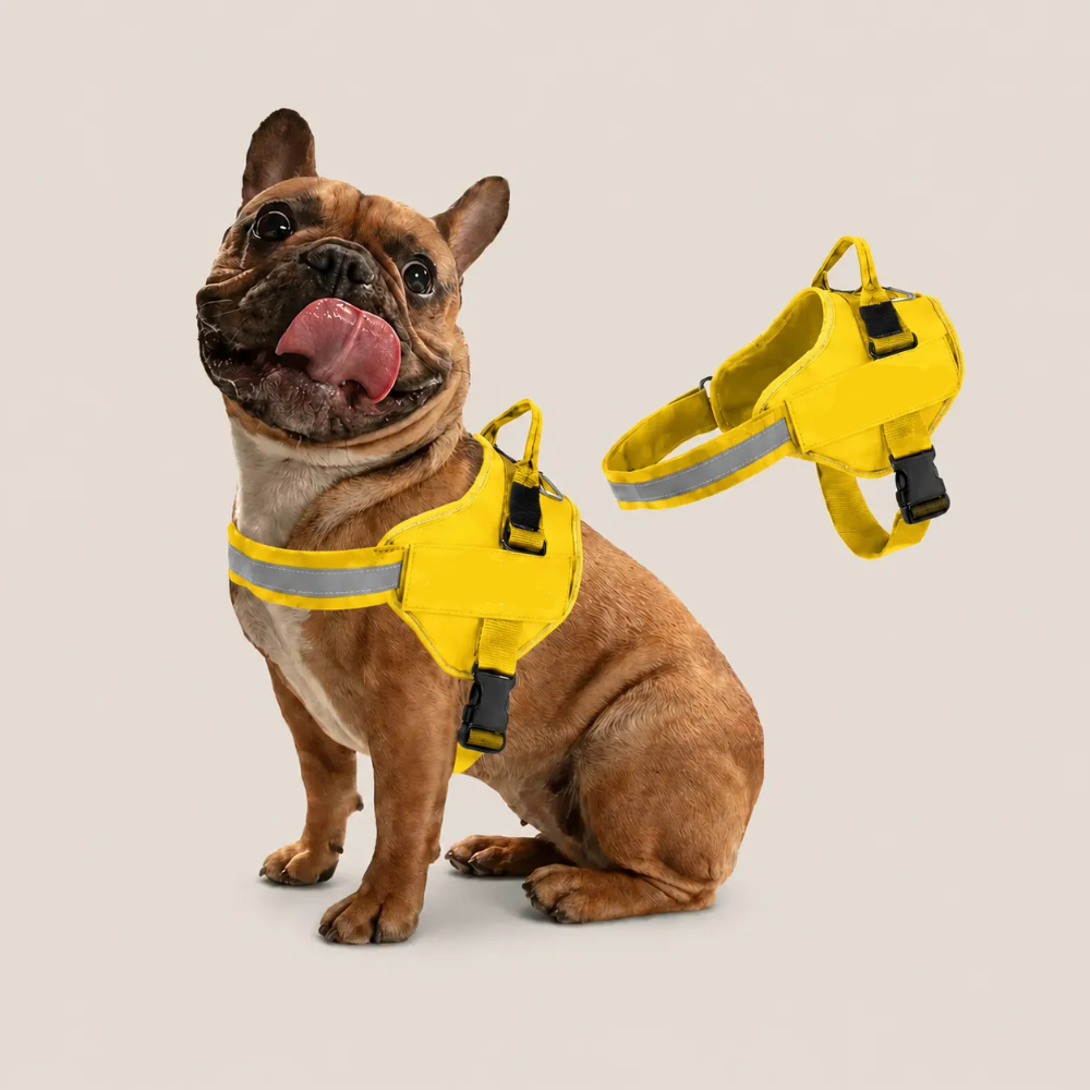 Dog Harness Customization