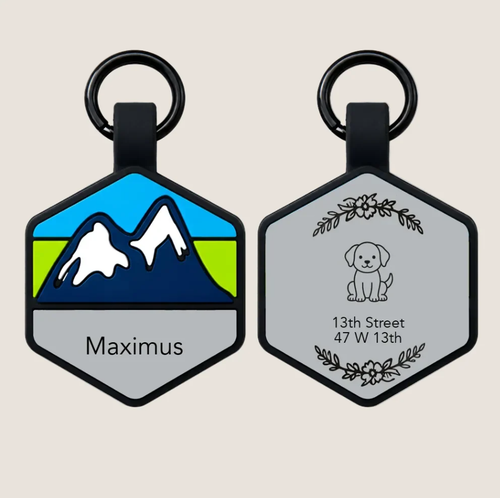 Personalised Pet ID Tag